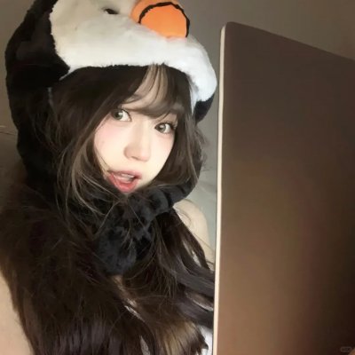 高速路上一只猫