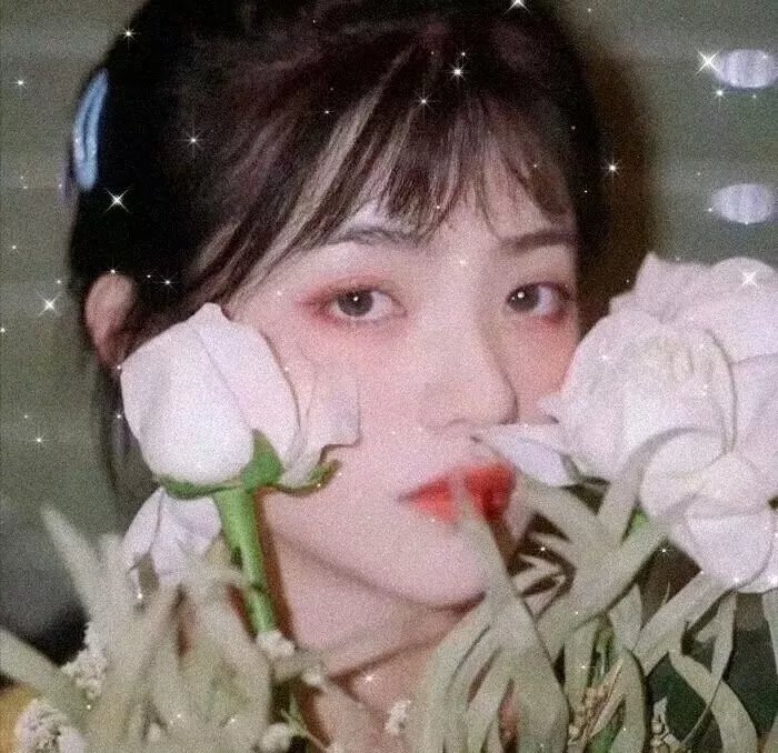 精灵梦叶罗丽11